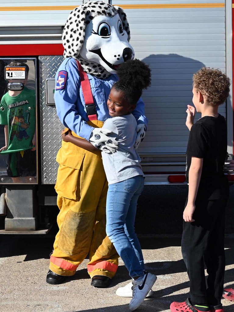 fdsparky1