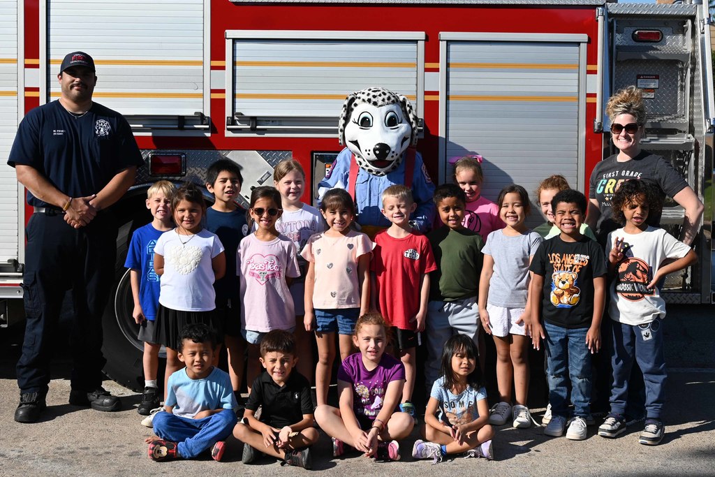 fdsingleton