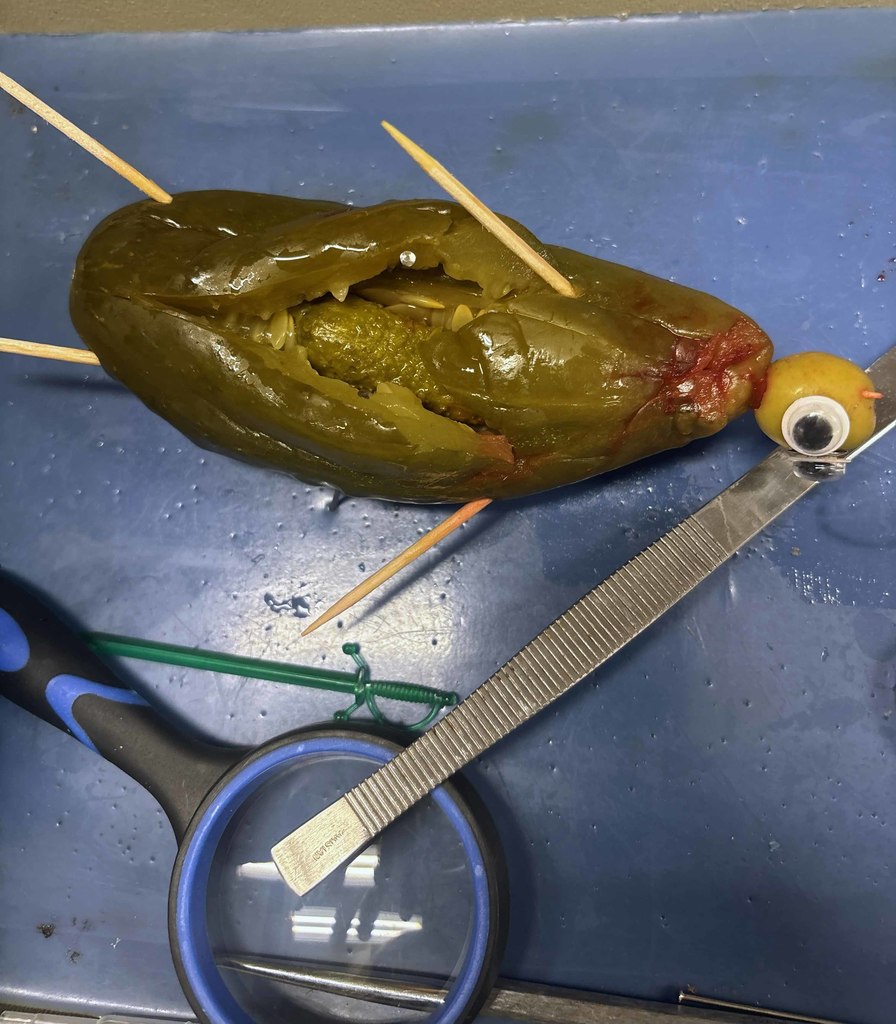 pickle8