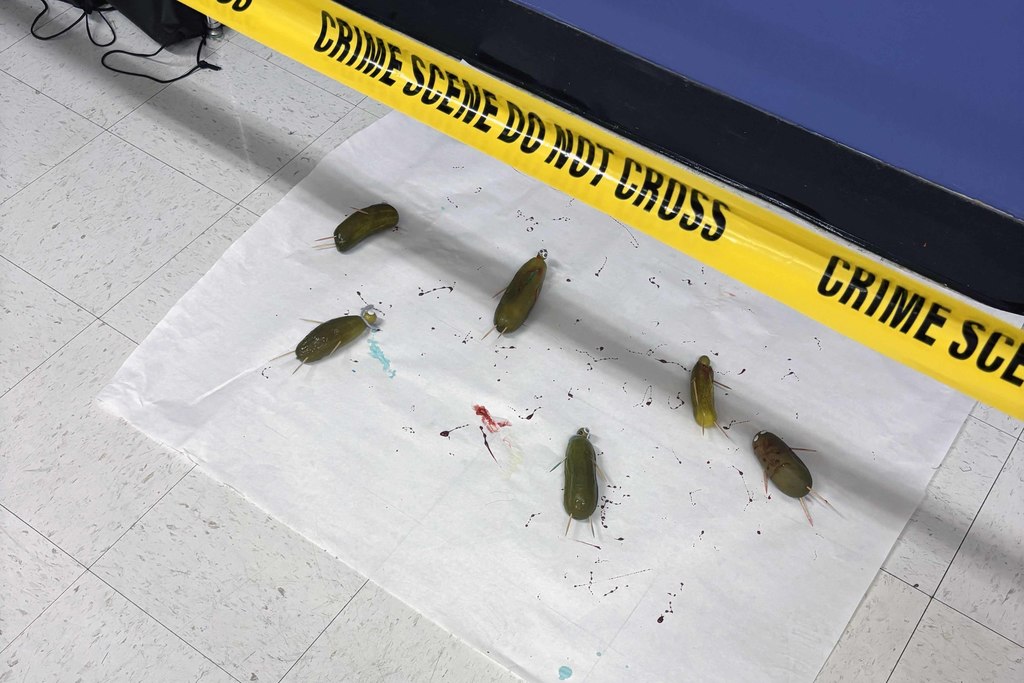 pickle7