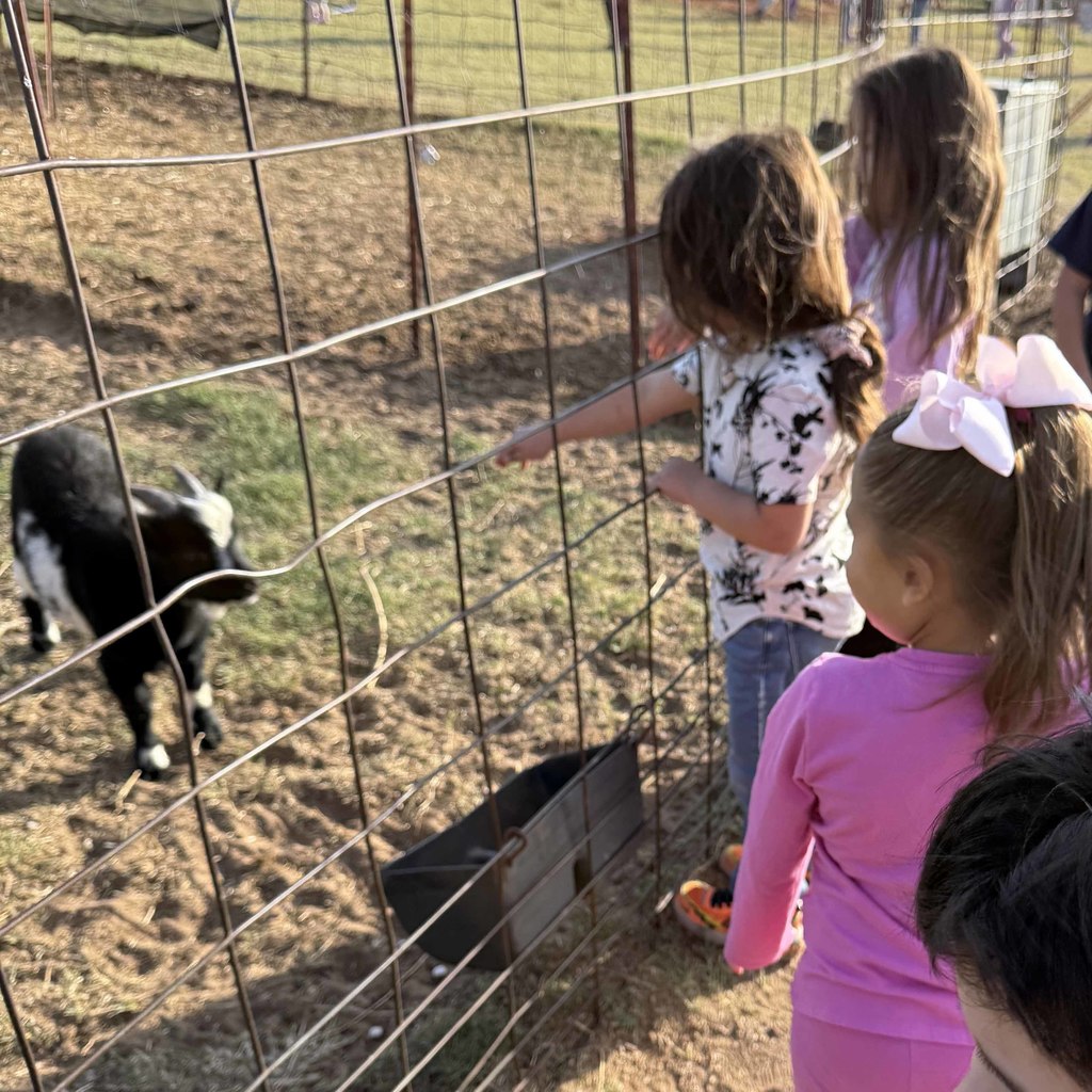 mccordlifeskillspumpkin9