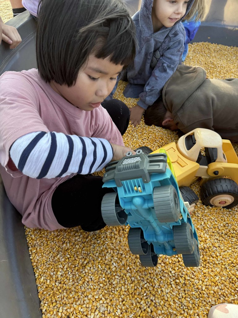 mccordlifeskillspumpkin6