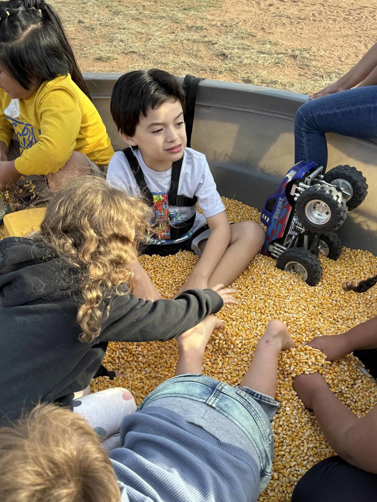 mccordlifeskillspumpkin2