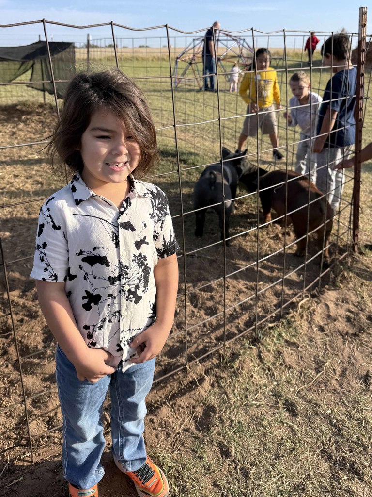 mccordlifeskillspumpkin4