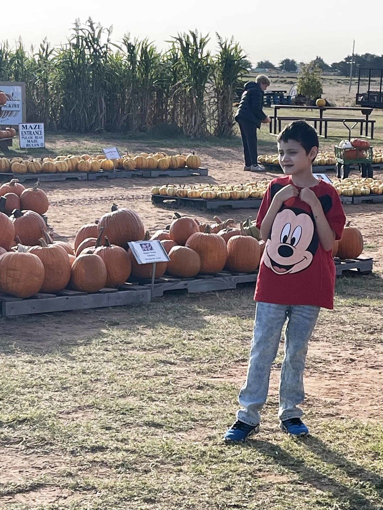 ves pumpkin patch7