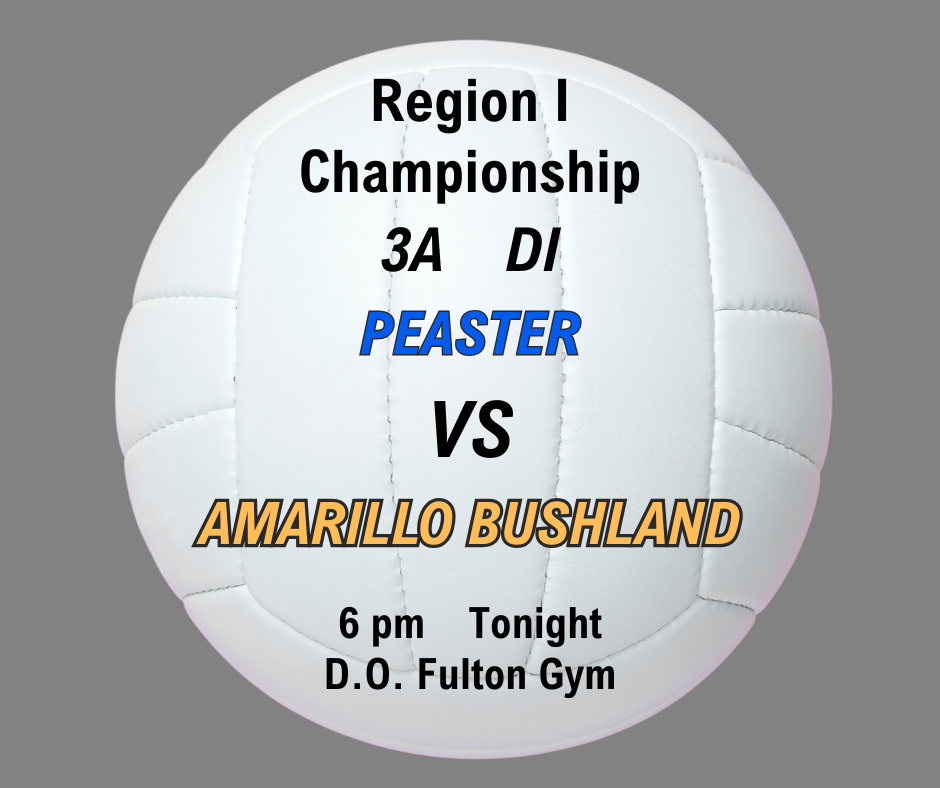 VOLLEYBALL regional final