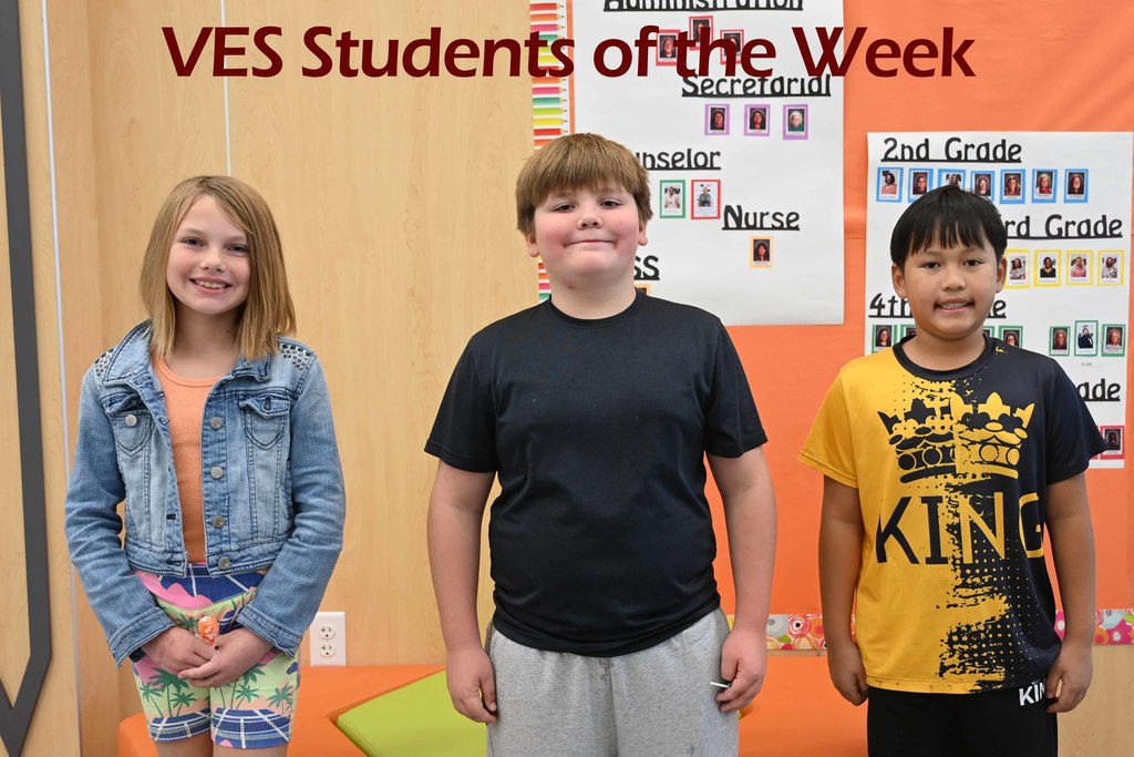 ves sow week12