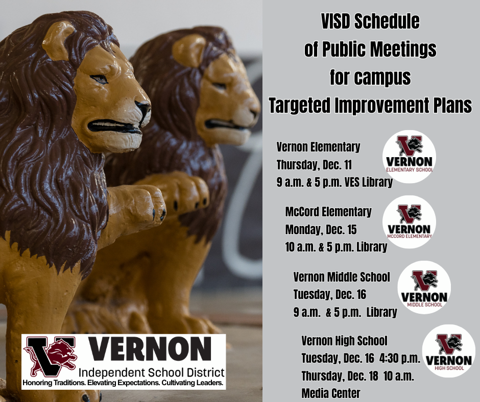 VISD schedule for TIP public meetings