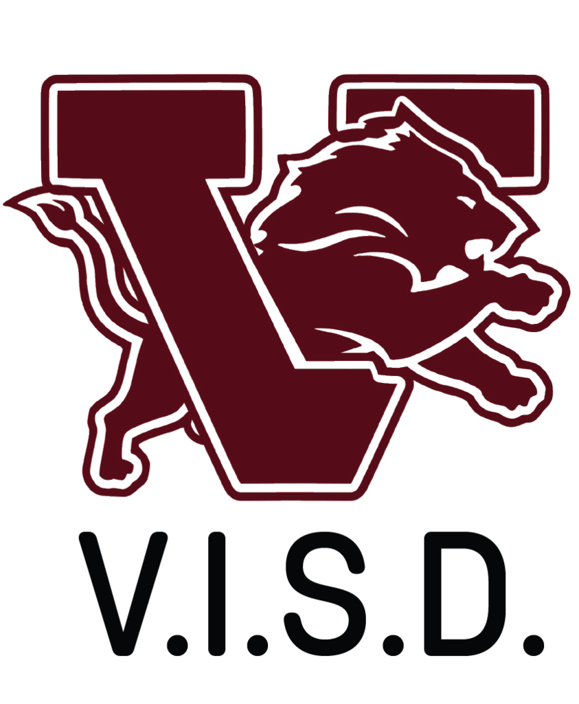 VISD logo
