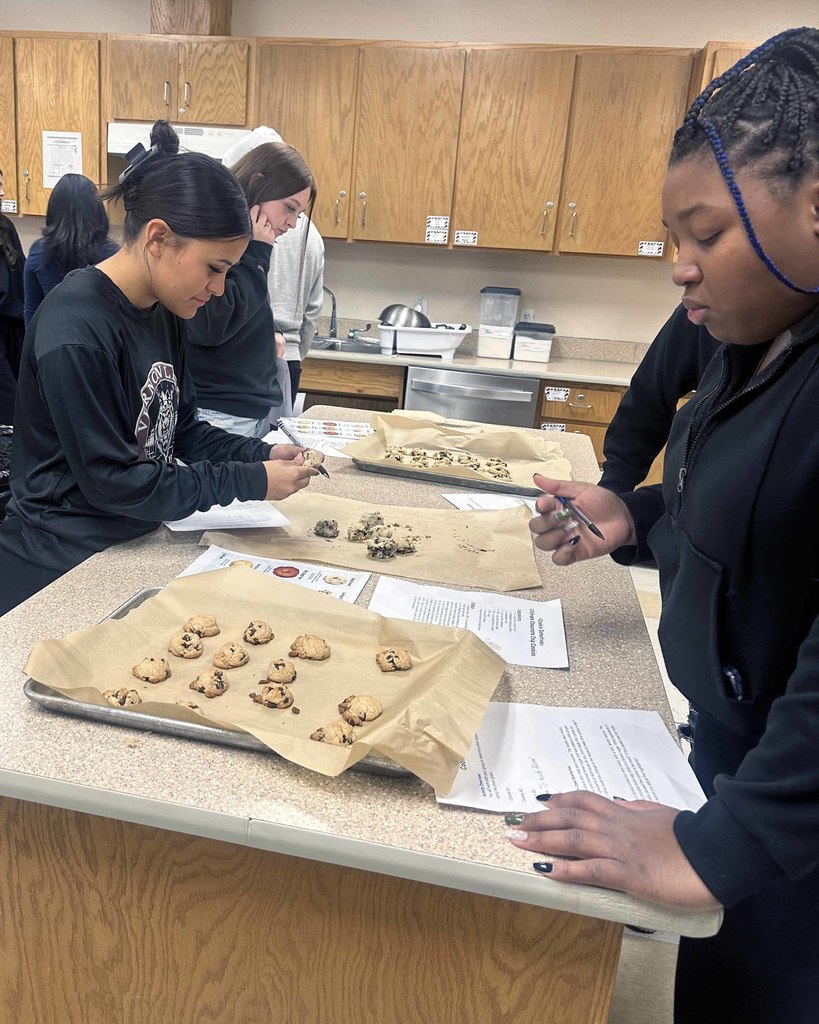 cookie investigators2