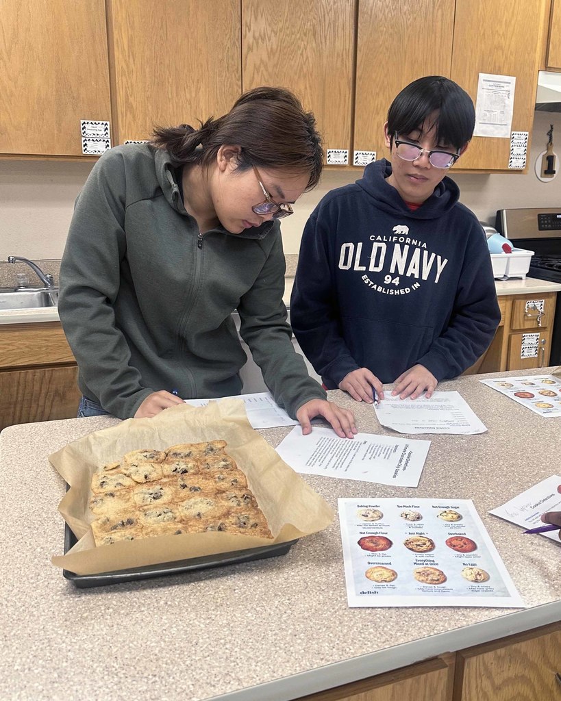 cookie investigators3