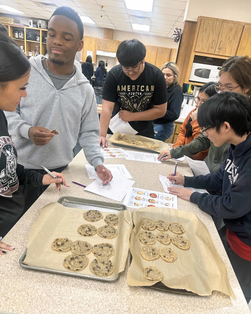 cookie investigators1