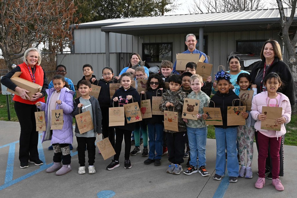 ves art project humane society