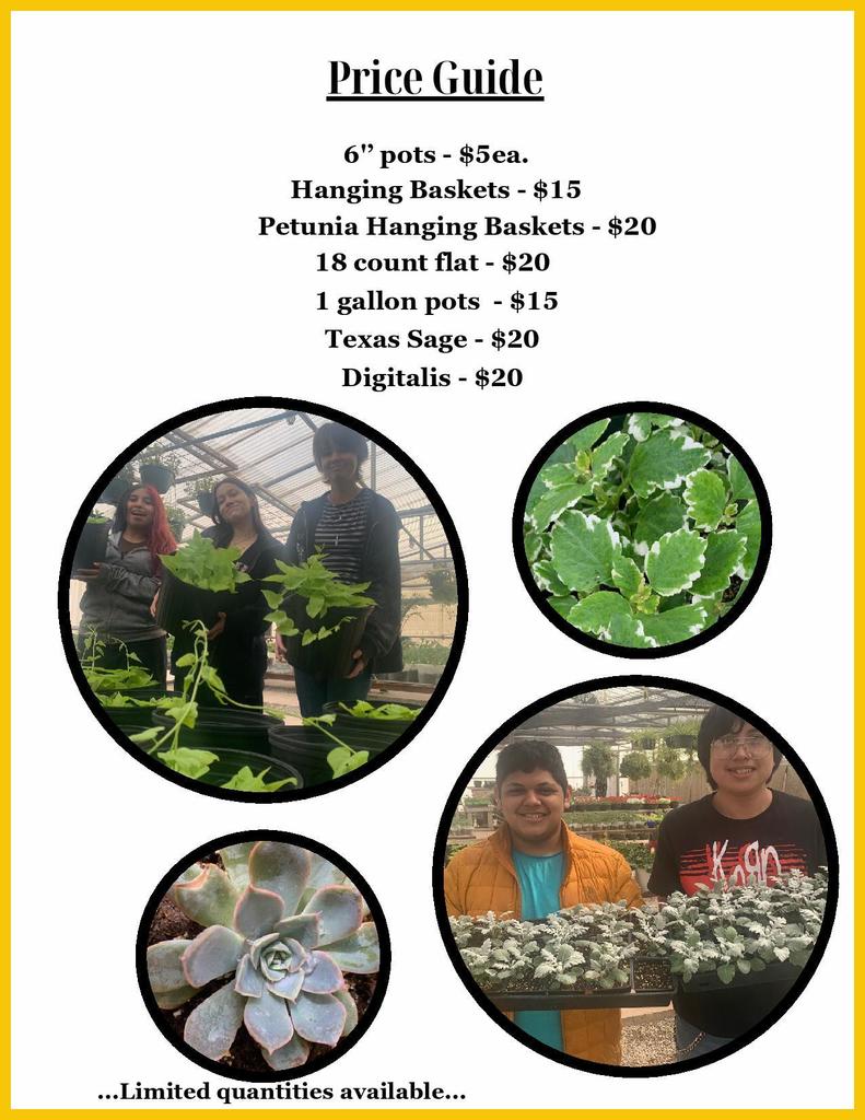 ffa plant sale page 2 2026
