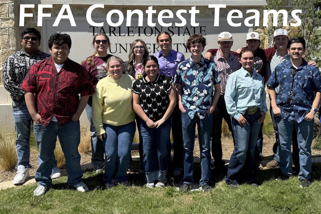 ffa contest teams