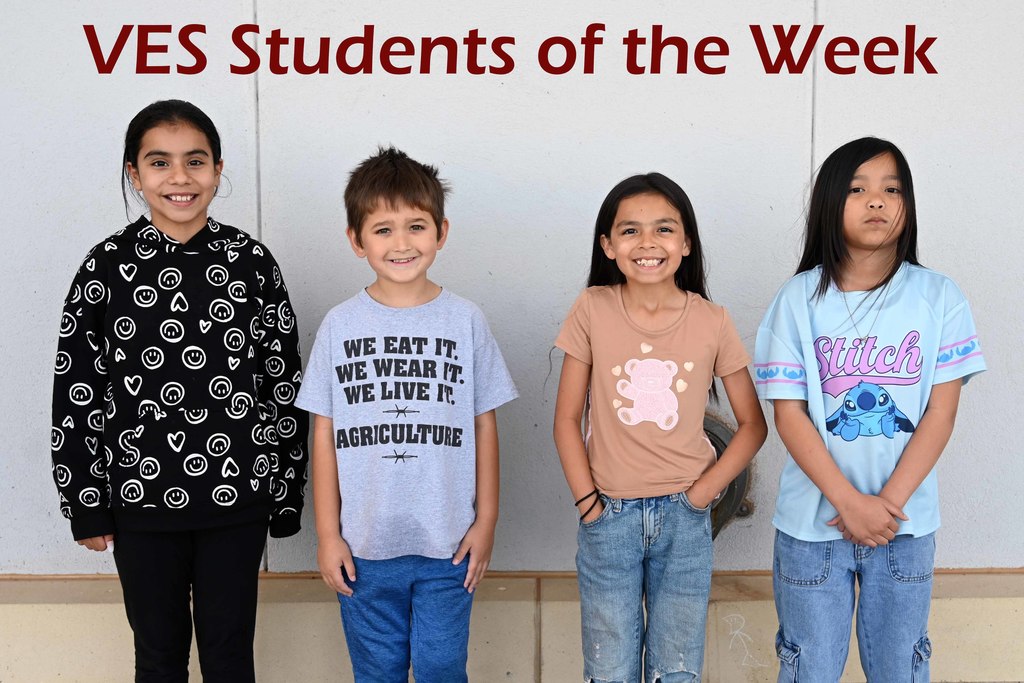 ves sow week 28
