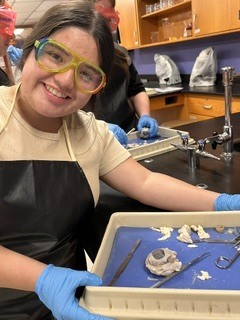eye dissection5