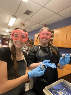 eye dissection1