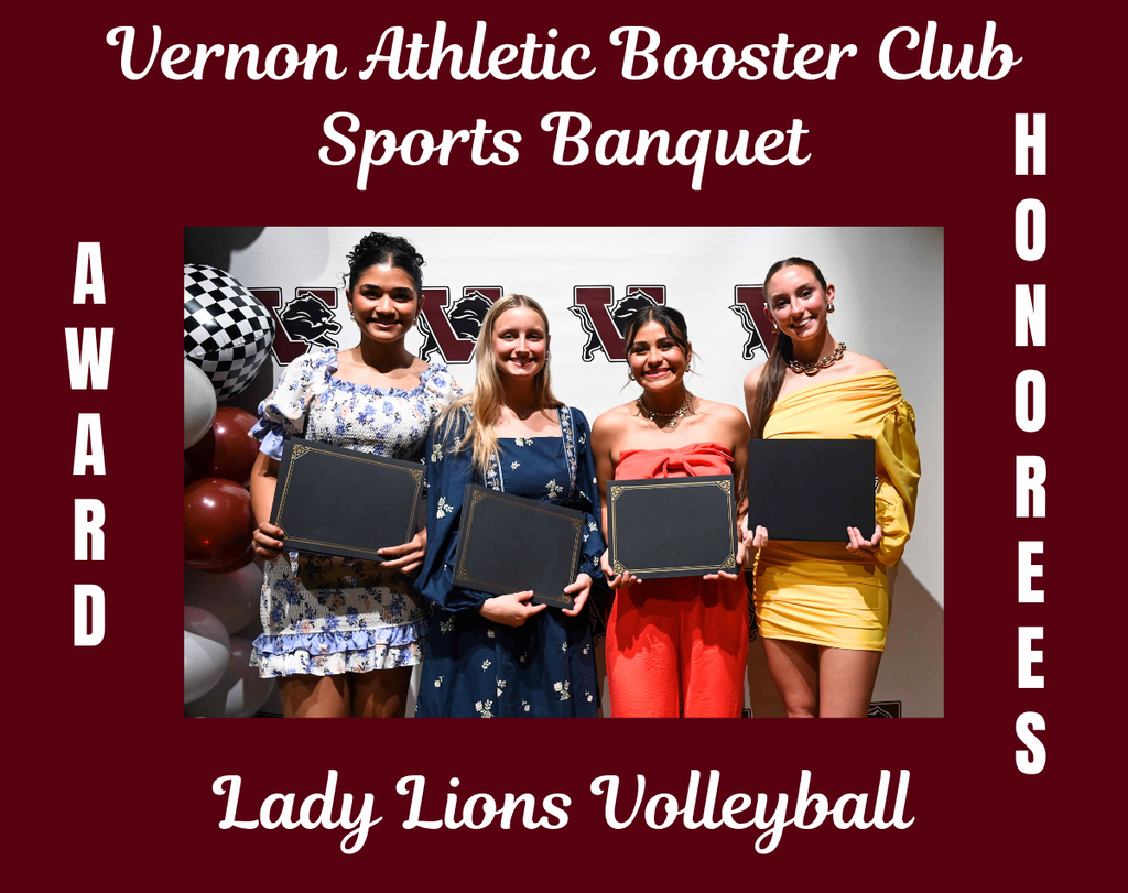 sports banquet volleyball