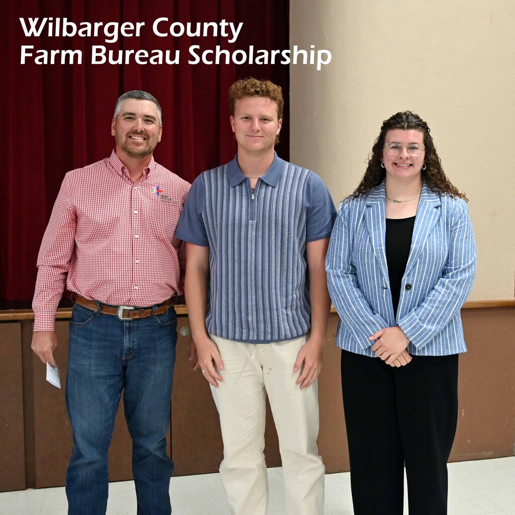 farm bureau scholarship