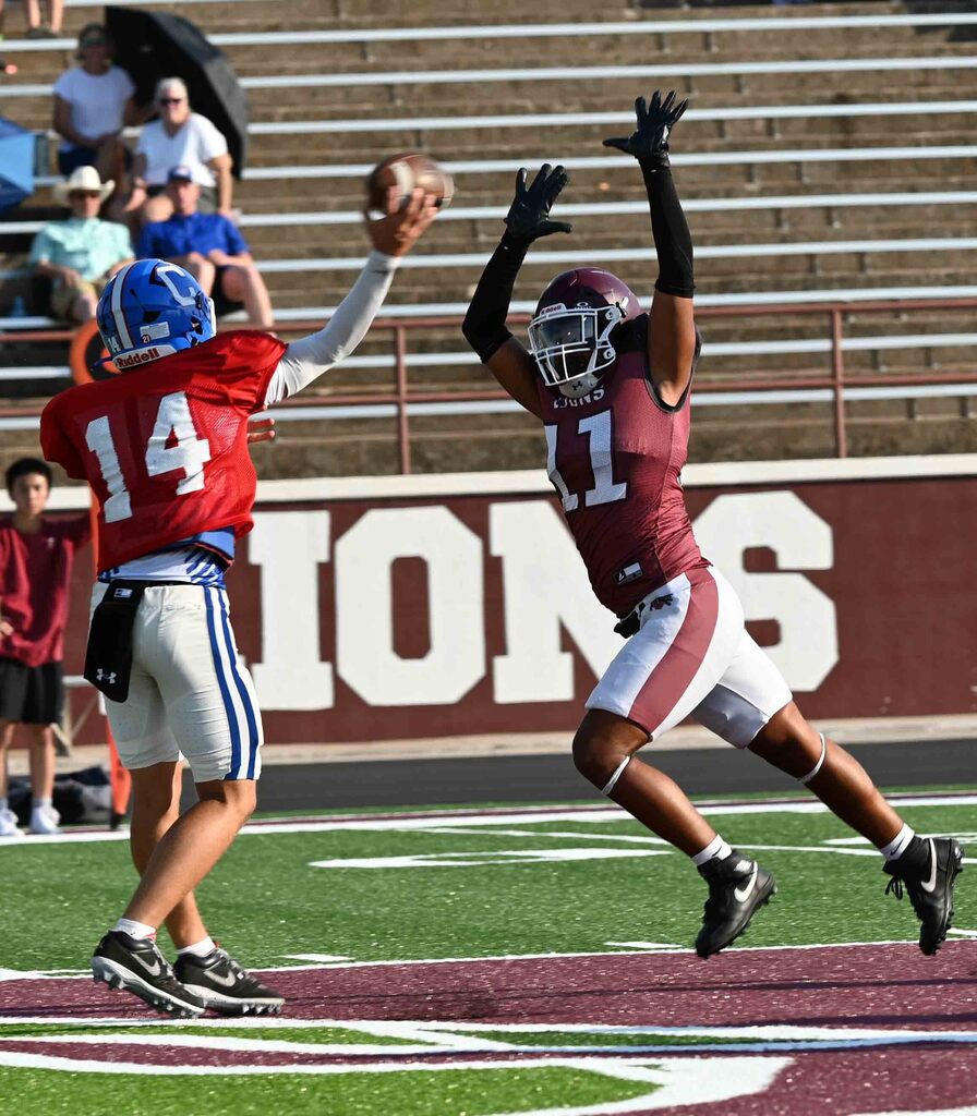 lionscrimmage1