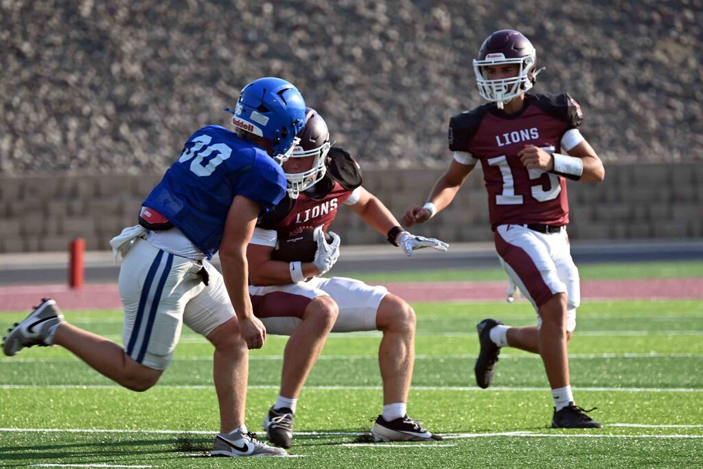 lionscrimmage2