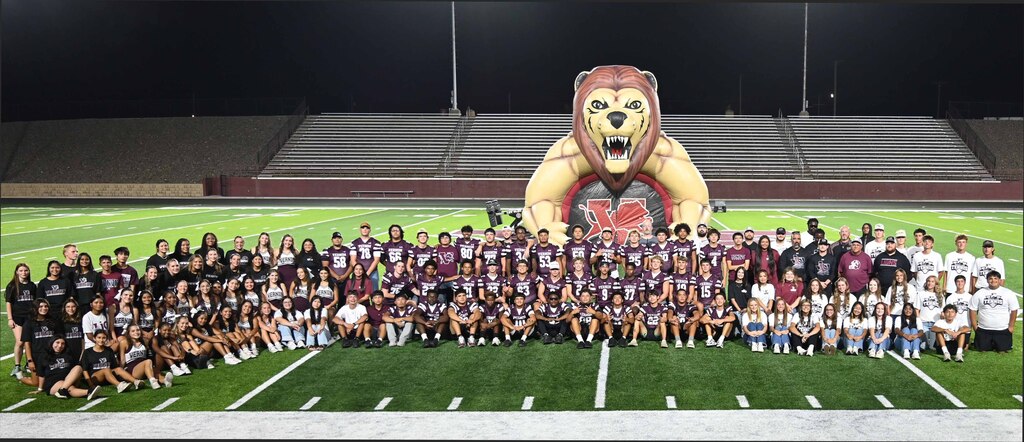 meet the lions all