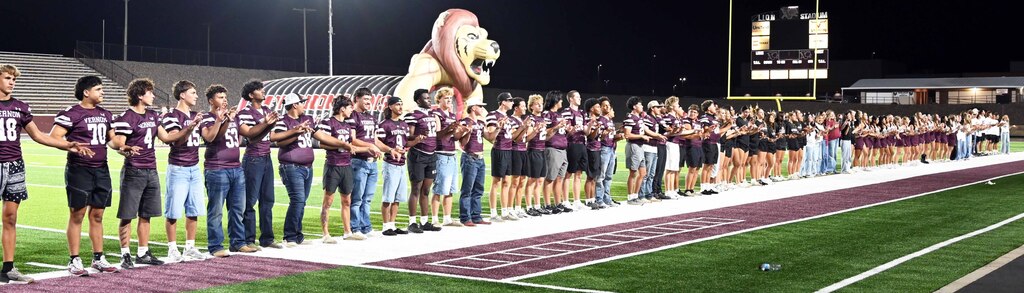 meet the lions lineup school song