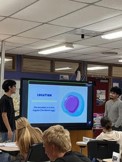 anatomy presentation 1