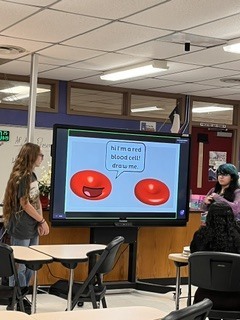 anatomy presentation 8