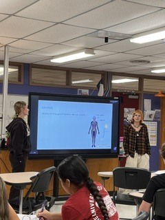 anatomy presentation 6
