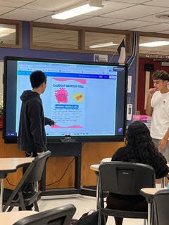 anatomy presentation 4