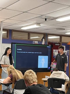 anatomy presentation 2