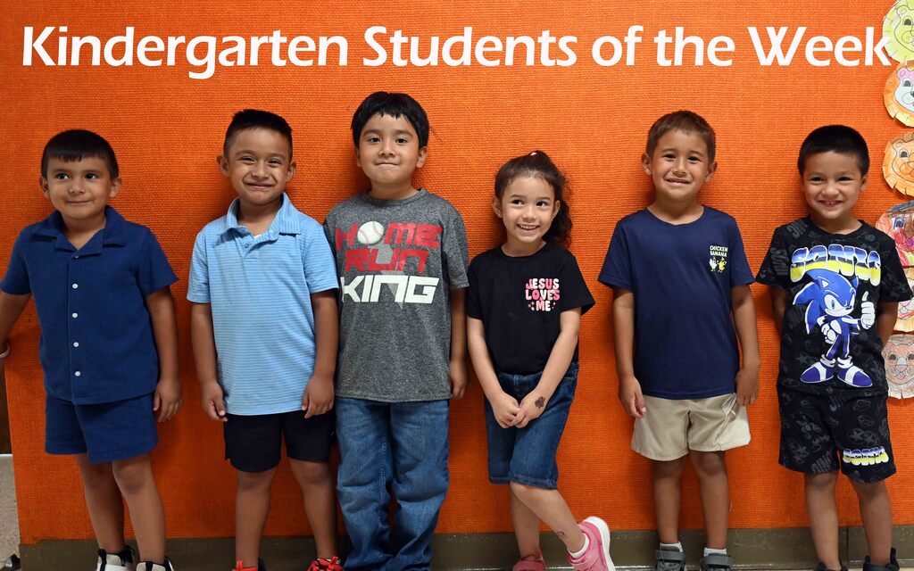 week 2 kinder sow