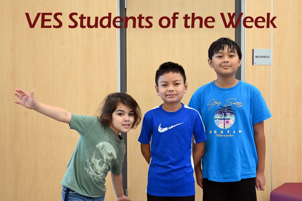 ves sow week6