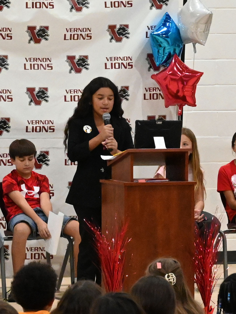 ves stuco elections3