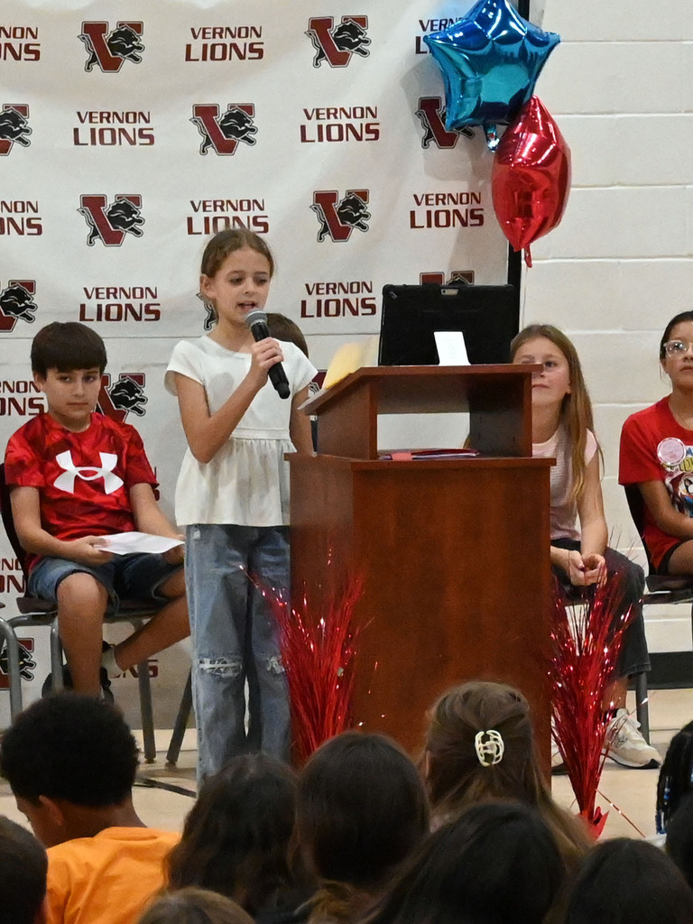 ves stuco elections6