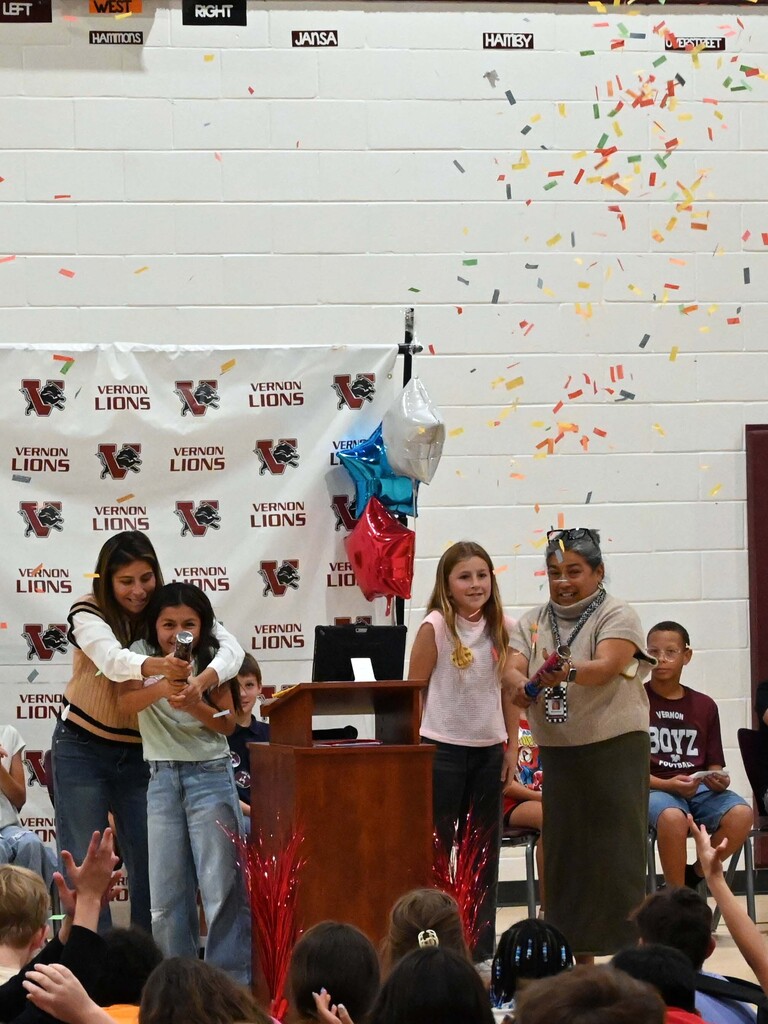 ves stuco elections2