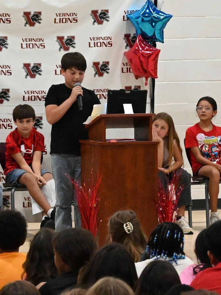 ves stuco elections8