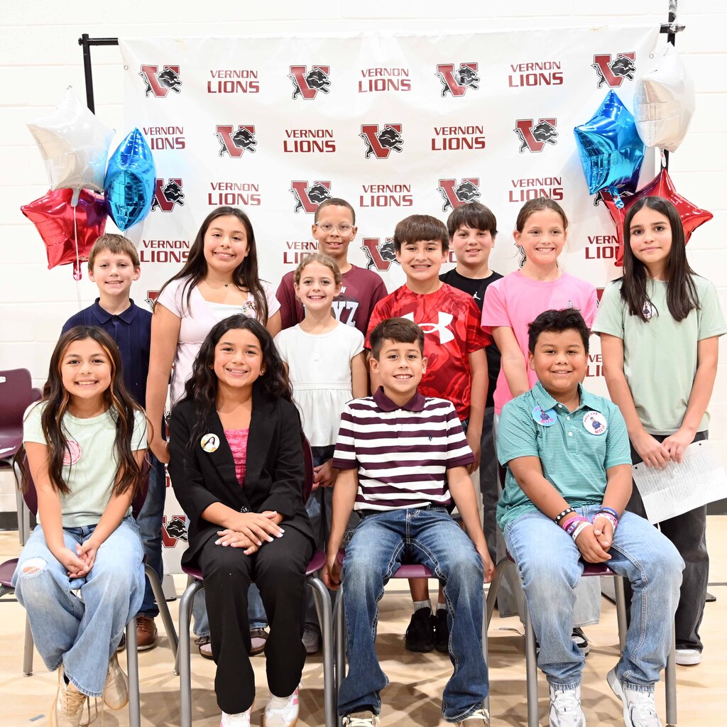 ves stuco elections1
