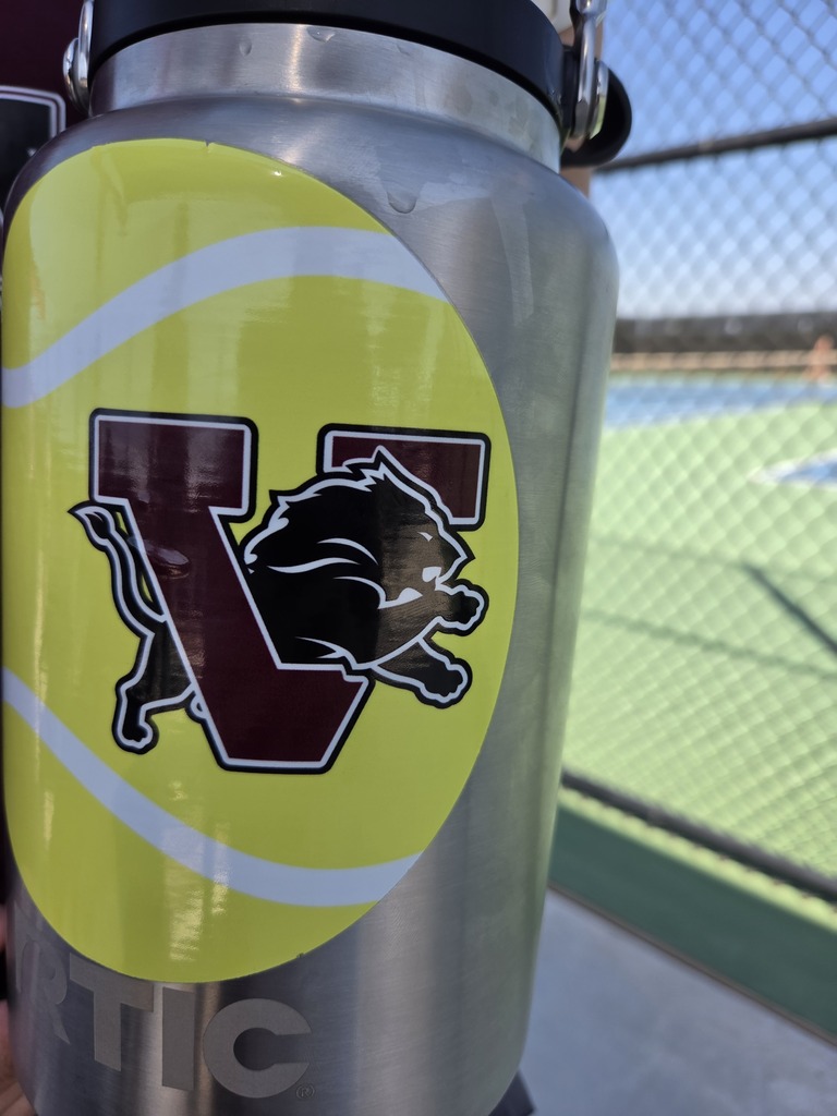 lions logo