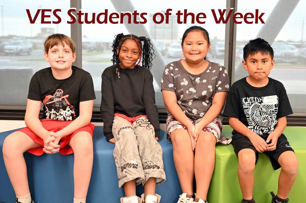 ves sow week9