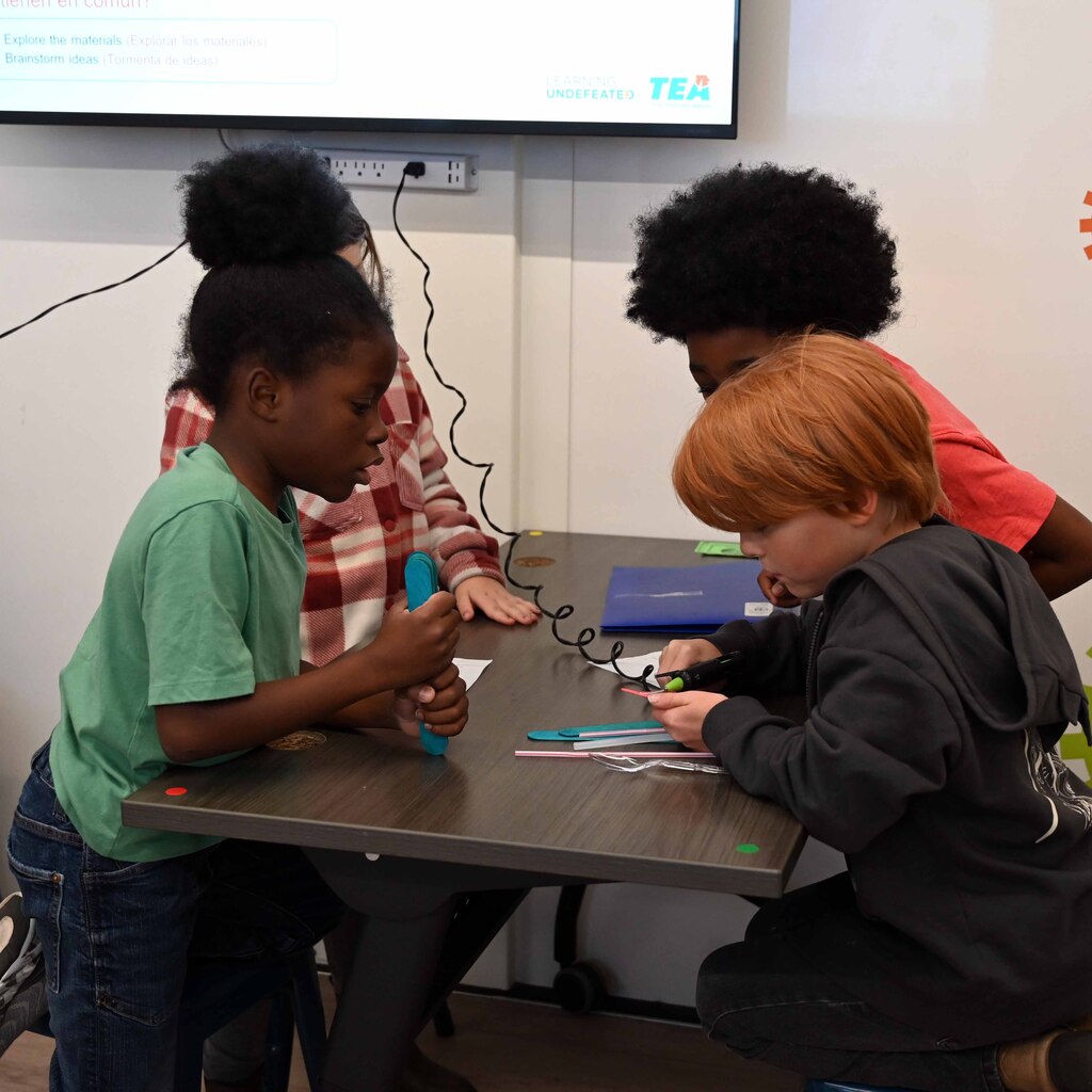 ves stem lab4