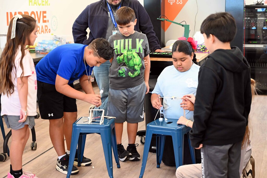 ves stem lab8