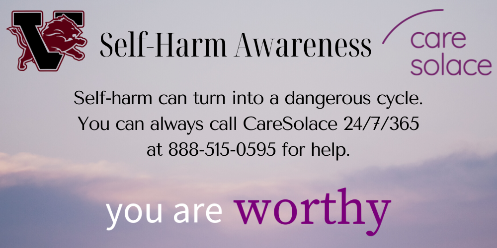 care solace self harm march