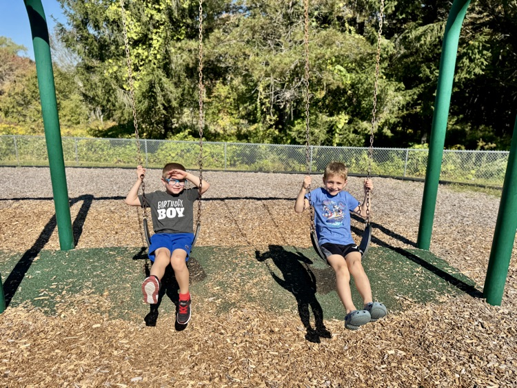 swings