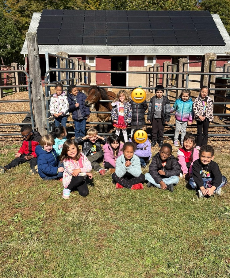 Farm Field Trip