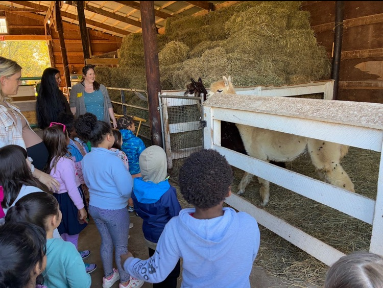 Farm Field Trip