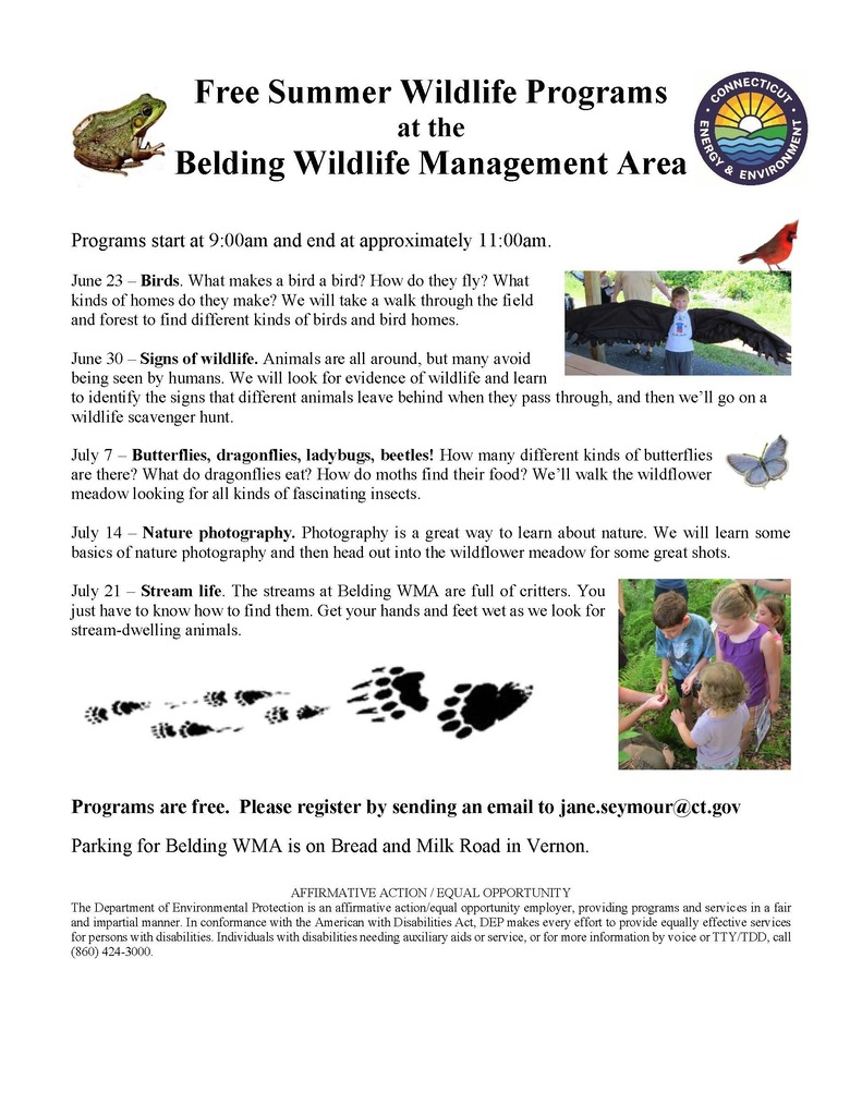 Summer Wildlife Programs