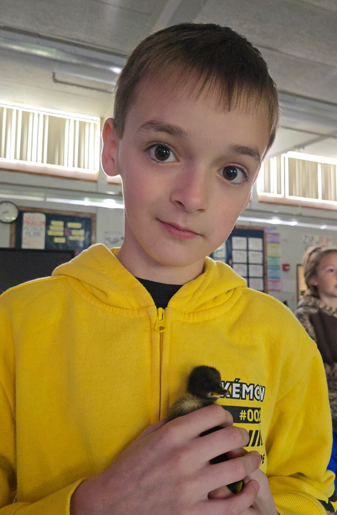 chick
